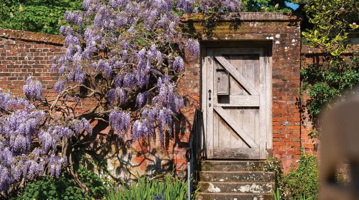 The Warden's Garden, Winchester College